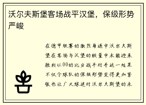 沃尔夫斯堡客场战平汉堡，保级形势严峻