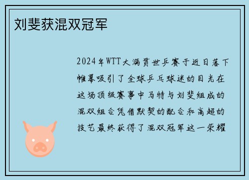 刘斐获混双冠军
