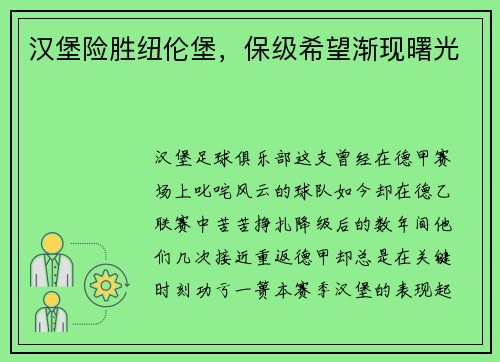 汉堡险胜纽伦堡，保级希望渐现曙光
