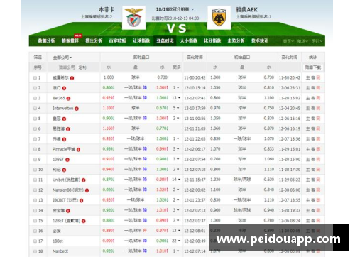 BG电子官方网站霍芬海姆客场争分，积分榜上攀升至第三位 - 副本